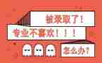 转专业教师工作总结优质8篇