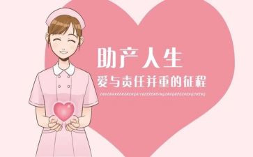 助产护士工作总结6篇