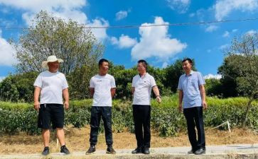 2024年驻村工作月总结优质5篇