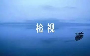 酒店自检自查报告优秀6篇