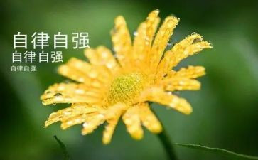 小学生自强事迹优秀8篇