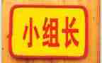 组长个人年终总结范文7篇