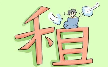 租客租房合同5篇