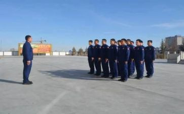 组训工作总结8篇